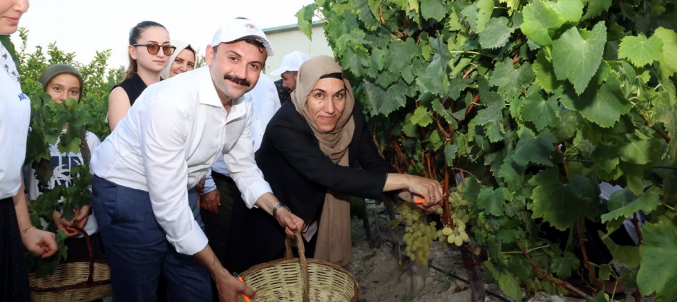 3’ÜNCÜ ESENLİ ÜZÜM ŞENLİĞİ YÜZLERCE ÜRETİCİ İLE BİNLERCE VATANDAŞI BULUŞTURDU - TÜRKİYE - İnternetin Ajansı