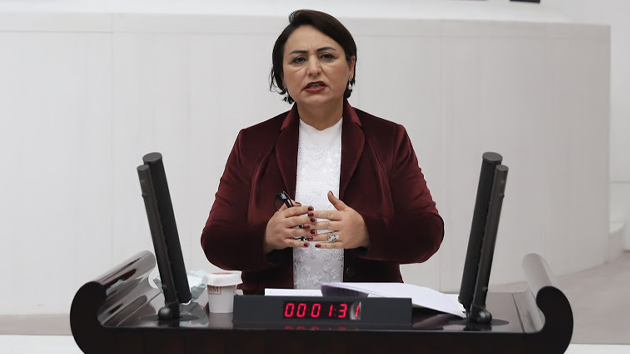 Adana'yı, Adanalı'yı kimse yabana atamaz