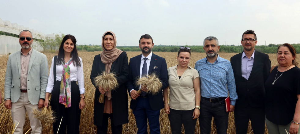 AKDENİZ BELEDİYESİ’NİN ÜRETTİĞİ EKMEKLİK BUĞDAYI UN OLDU SOFRALARA ULAŞTI - TÜRKİYE - İnternetin Ajansı