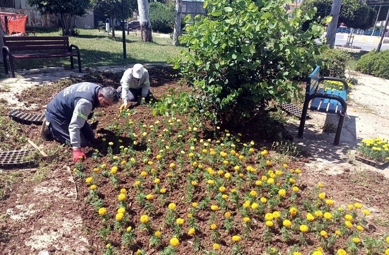 AKDENİZ’DE PARK, BAHÇE VE YEŞİL ALANLAR ELDEN GEÇİYOR