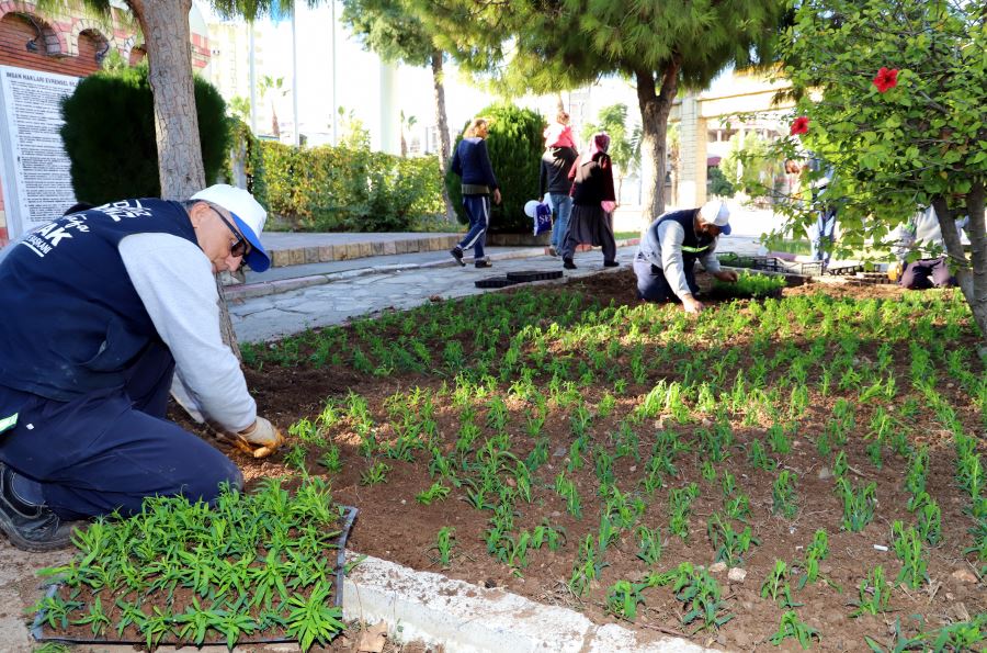 AKDENİZ’DE PARK, BAHÇE VE YEŞİL ALANLAR YENİLENİYOR