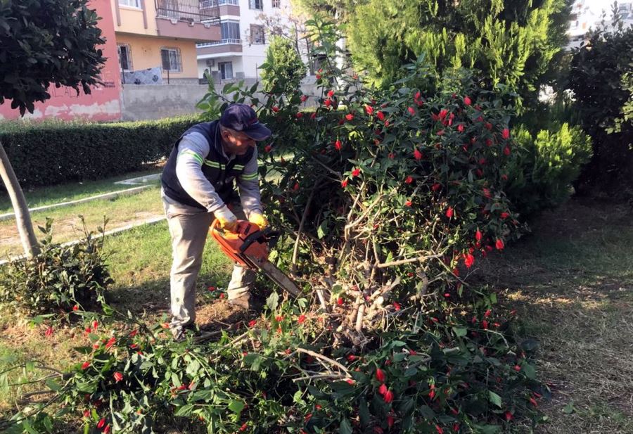 AKDENİZDE PARK YEŞİL ALAN VE SPOR TESİSLERİ BAKIMDAN GEÇİYOR