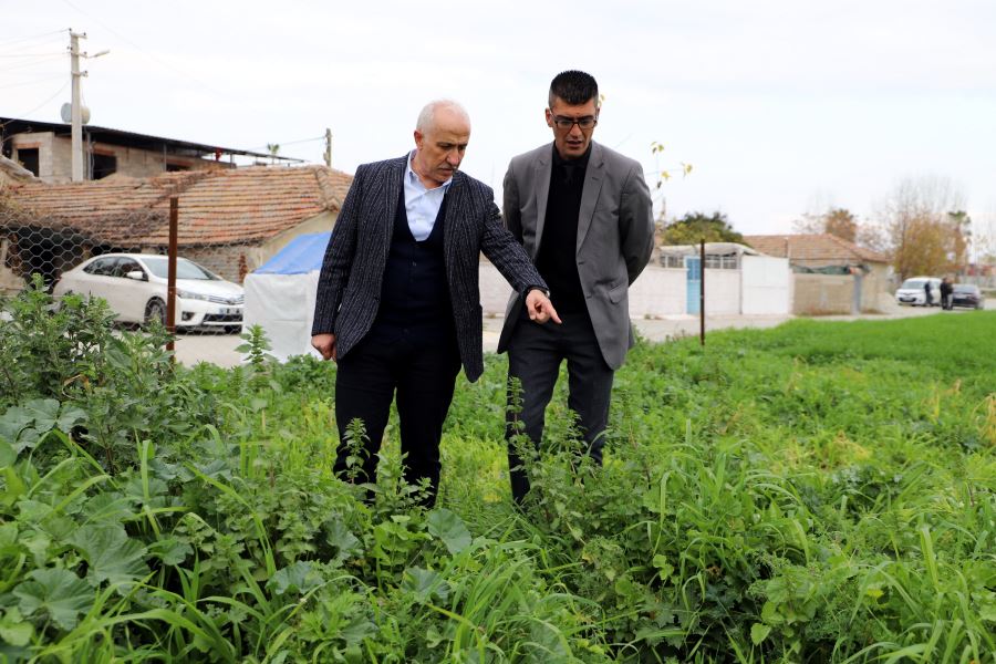 AKDENİZDE TOPRAKLA BULUŞTURULAN KARAKILÇIK BUĞDAY TOHUMU BOY VERDİ