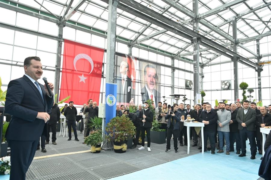 Arıttığı suda akvaryum balığı besleniyor