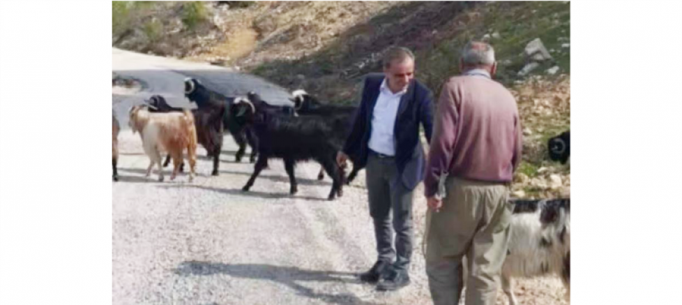 Başkan Adayı Ali Kartal, Kapsamlı Hayvancılık Projelerini Açıkladı - GÜNDEM - İnternetin Ajansı