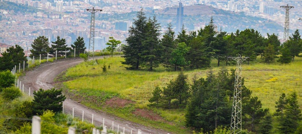 BAŞKENTLİLERE NEFES: ANKARA BÜYÜKŞEHİR BELEDİYESİ HACIKADIN KENT ORMANI’NI YENİLEDİ - GÜNDEM - İnternetin Ajansı