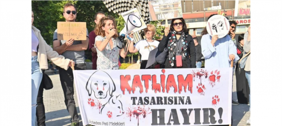 Beyzade Kayabaşı'ndan Katliam Tasarısına Karşı Eylem - GÜNDEM - İnternetin Ajansı