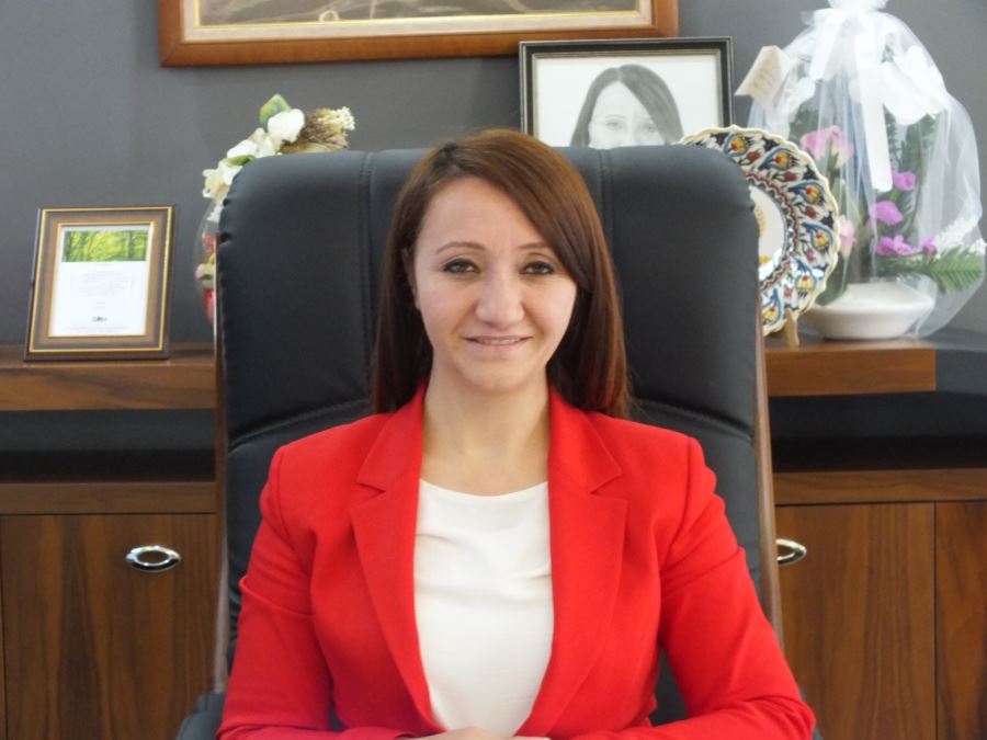 Bilecik’in Pazaryeri ilçesi tarihinde ilk kez TOKİ ile tanışıyor