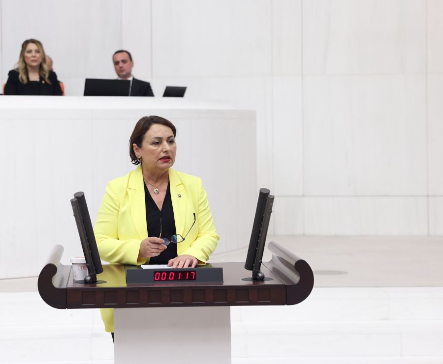 “Buğday üreticisi dövize ve TMO’ya yenik düştü”