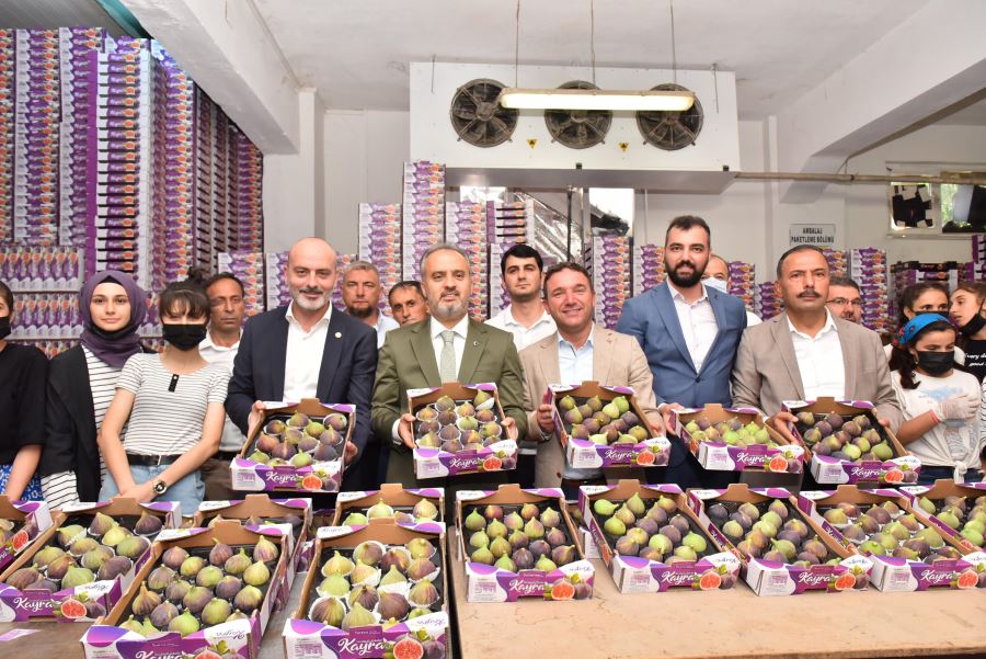 Büyükşehir’in tarlada izi var