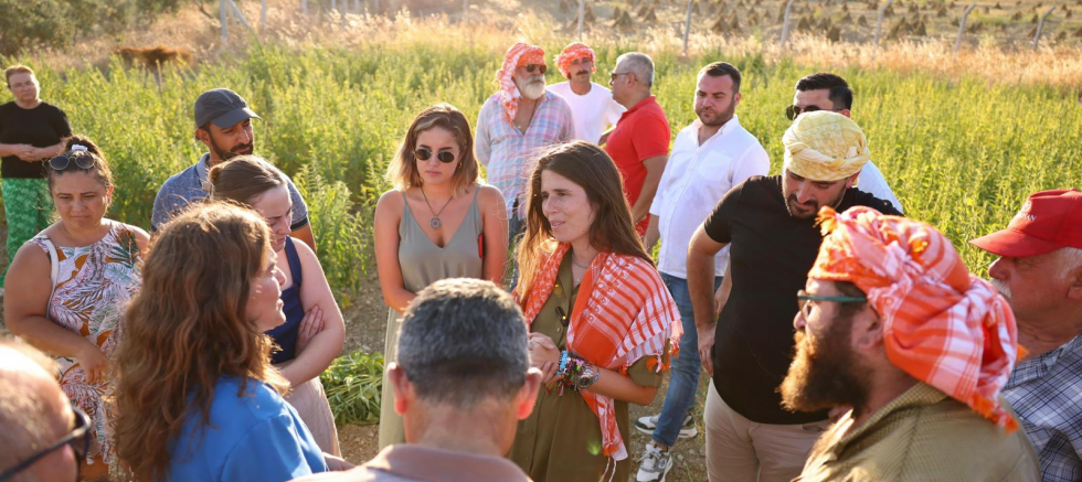 ÇEŞME’DE ATA TOHUMU SUSAMDA İLK HASAT YAPILDI - TÜRKİYE - İnternetin Ajansı