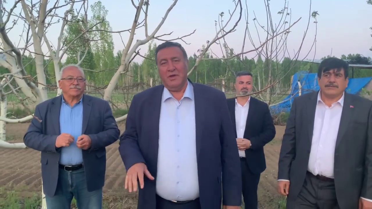 Cevizde de dışa bağlıyız!