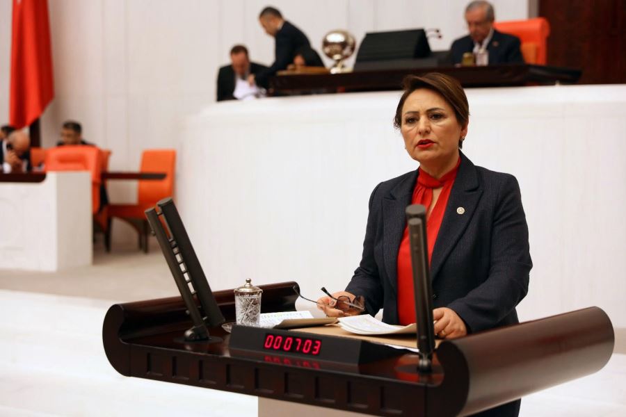 CHP Adana Milletvekili Dr. Müzeyyen Şevkin, maaşları her geçen gün eriyen kamu mühendislerinin sesini meclise taşıdı