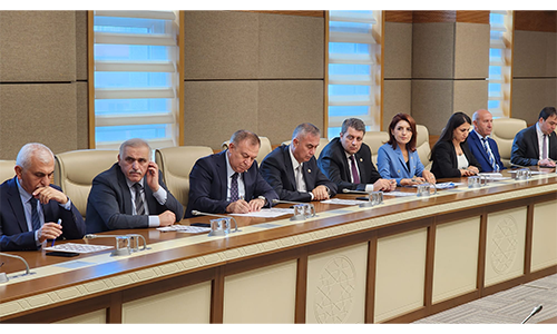 CHP Mersin Milletvekili Gülcan Kış, TBMM’de Bayındırlık, İmar, Ulaştırma ve Turizm Komisyonu üyesi oldu