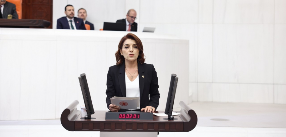 CHP Mersin Milletvekili Gülcan KIŞ; Vatandaş Borç Batağında, Bakan Şimşek Hayal Aleminde!  - SİYASET - İnternetin Ajansı
