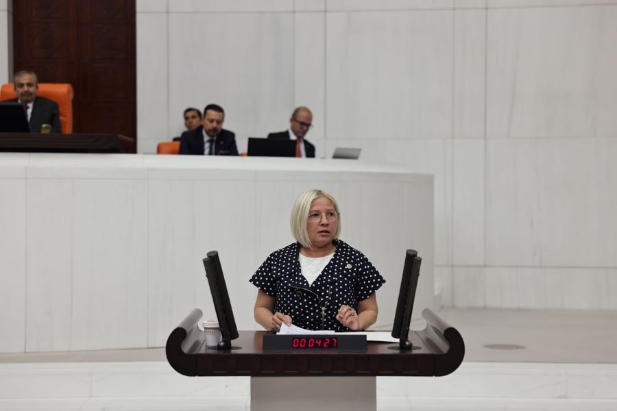 CHP Tekirdağ Milletvekili Nurten YONTAR Emeklileri Sordu
