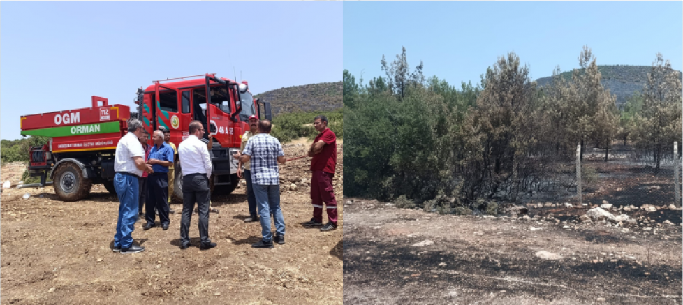CHP’li Ateş, Pazarcık’ta yanan alanları ziyaret etti - GÜNDEM - İnternetin Ajansı
