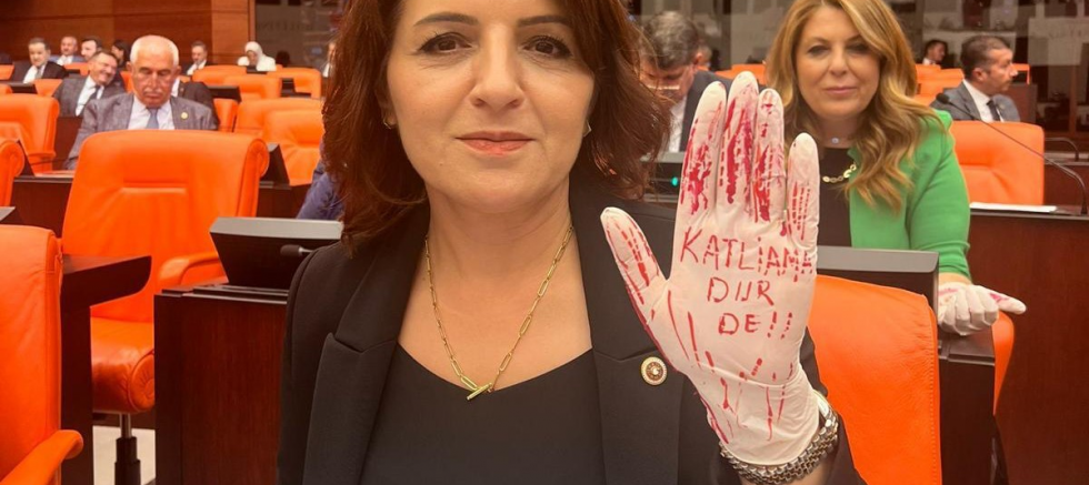 CHP’li Gülcan Kış, sokak hayvanlarıyla ilgili teklifin tüm itirazlara rağmen yasalaşmasına böyle tepki gösterdi “Bu kanunun sonucu katliamdır” - SİYASET - İnternetin Ajansı
