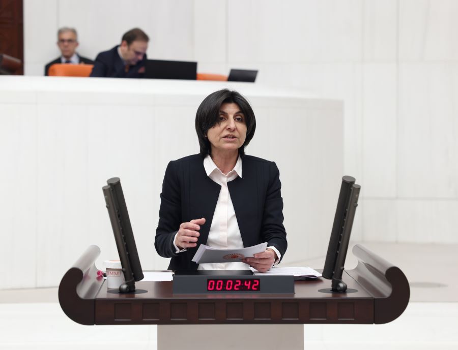 CHP’Lİ ÖZDEMİR, DEPREM BÖLGESİNDEKİ KADIN VE ÇOCUKLAR İÇİN TBMM’YE ARAŞTIRMA ÖNERGESİ VERDİ