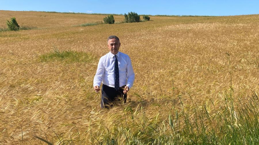 CHP’li Tahtasız: TMO’da randevu bulmak hastanede randevu bulmaktan daha zor