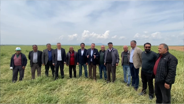 CHP’Lİ YALIM: ÇİFTÇİLERİN ZARARLARI GİDERİLMELİ