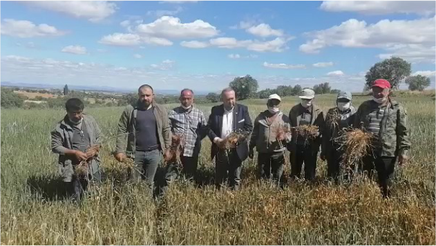 CHP’Lİ YALIM: DEPREMZEDE ÇİFTÇİYE ACİL DESTEK OLUNMALI