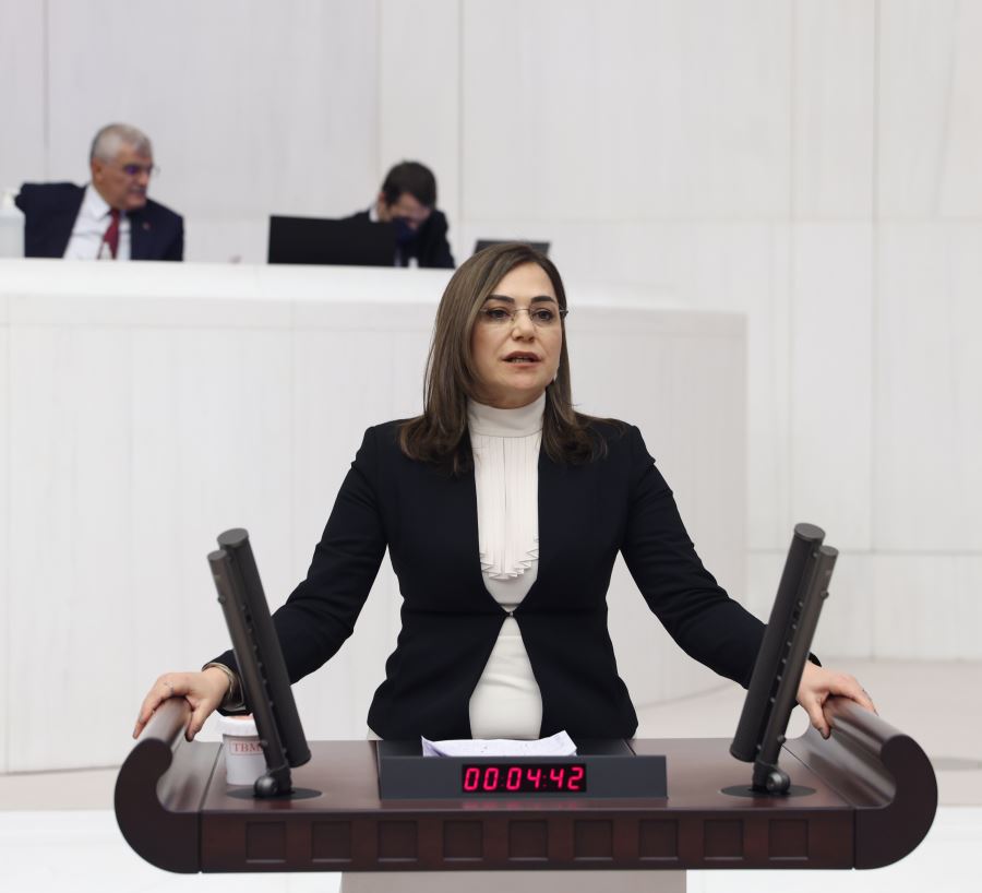 CHP’Lİ YÜCEER, REFAKATSİZ ÇOCUKLARI MECLİS GÜNDEMİNE TAŞIDI