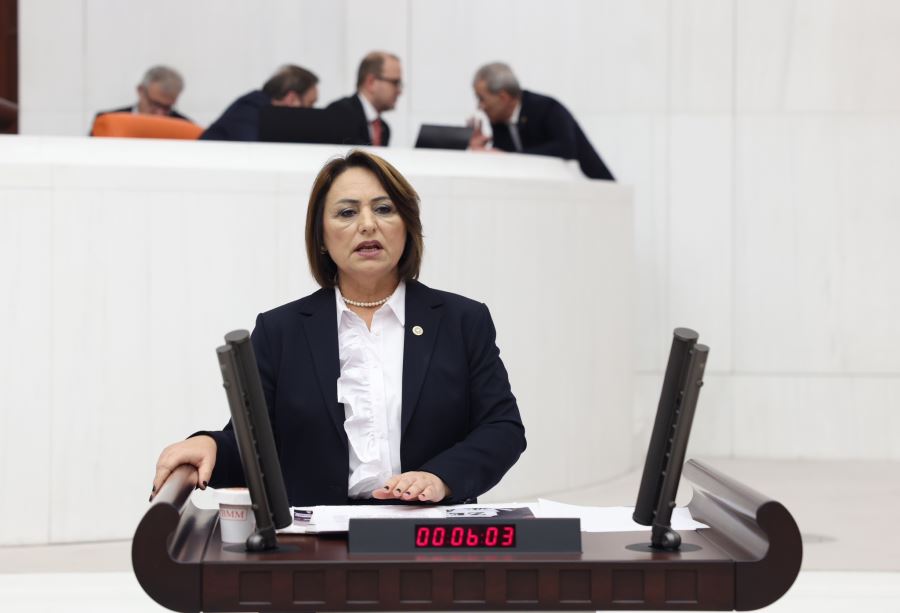 Cumhuriyet değerlerini sata sata bitiremediler