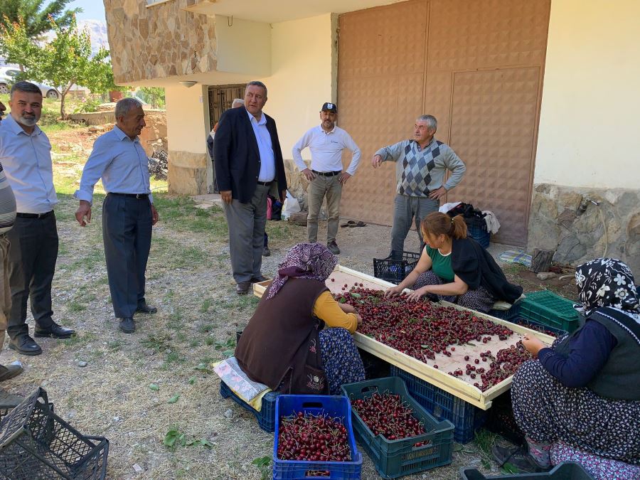 “Dalları bastı kiraz, üreticiyi bastı dert”