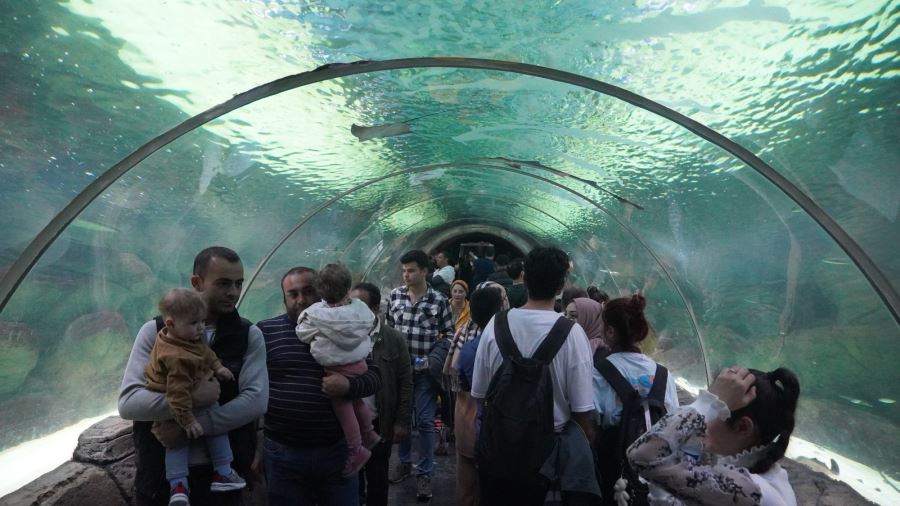 DENİZ DÜNYASI’NDA MERAKLI BAKIŞLAR