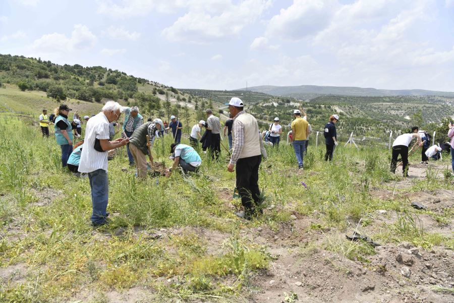 DÜNYA ÇÖLLEŞME VE KURAKLIKLA MÜCADELE GÜNÜ’NDE BİN FİDAN TOPRAKLA BULUŞTU
