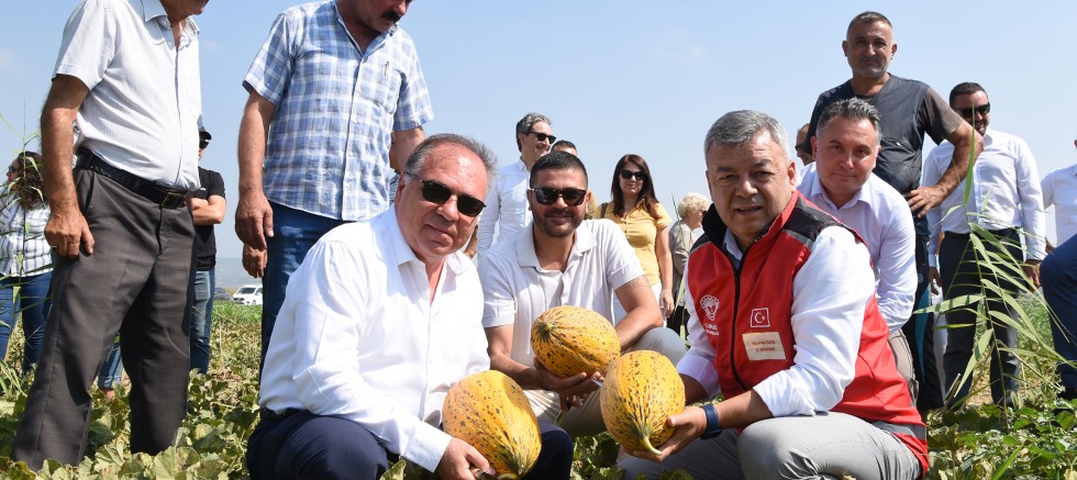 GERENKÖY’DE TARIMIN BEREKETİ: KAVUN HASAT ŞENLİĞİ - GÜNDEM - İnternetin Ajansı