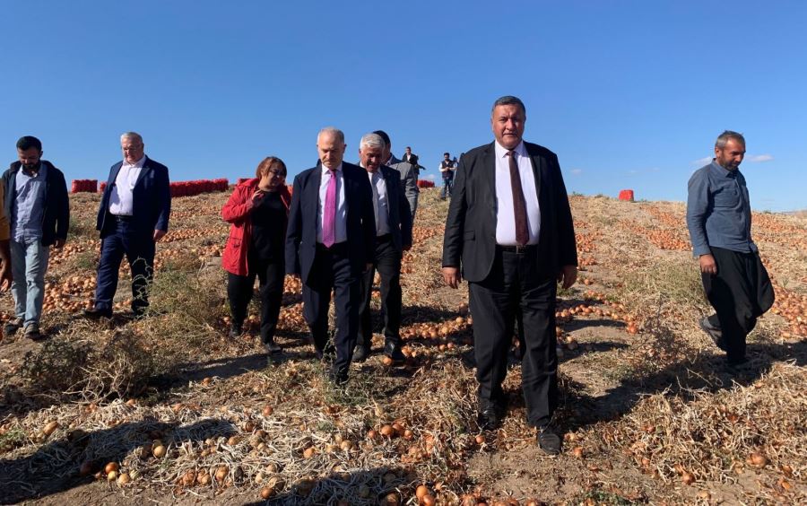 Gürer: “AKP, vatandaşı kuru soğana da muhtaç etti”