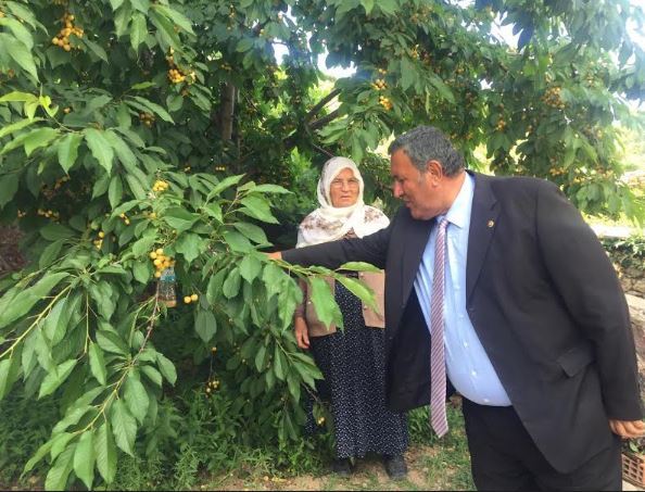 Gürer: “Kiraz üreticilerine acil destek şart”