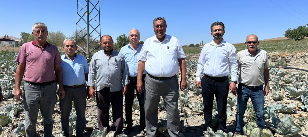 Gürer: “Lahana da üreticisinin yüzünü güldürmedi” - SİYASET - İnternetin Ajansı