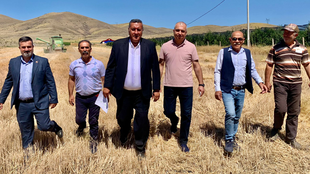 Gürer: “Yaban domuzu çiftçinin korkulu rüyası oldu”