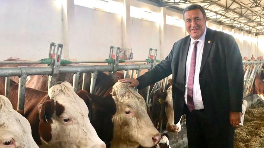 Gürer: “Yem fiyatlar artıkça hayvancılık bitiyor”