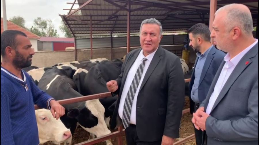 Gürer: “Yem fiyatlarının aşırı artışına bir de ilaç fiyatlarındaki artış eklendi”