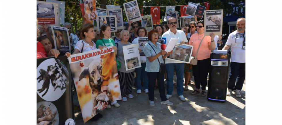 HAKDEM: Manisa’da Toplama Kampları Kuruldu – Bu Ülkede Hayvanlara Yapılan Zulüm, Siyasi Bir Tercihtir!” - GÜNDEM - İnternetin Ajansı