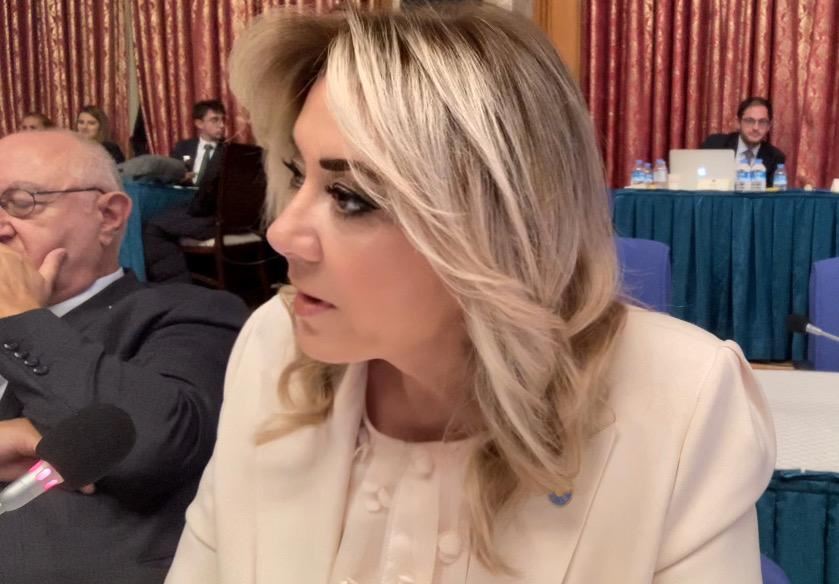 İYİ PARTİLİ AYLİN CESUR DIŞİŞLERİ BAKANI ÇAVUŞOĞLU’NA SORDU;   “MİLLET FUKARALIKLA BOĞUŞURKEN, GETİRDİĞİNİZ SIĞINMACILARIN BİZE MALİYETİ KAÇ MİLYAR DOLAR”