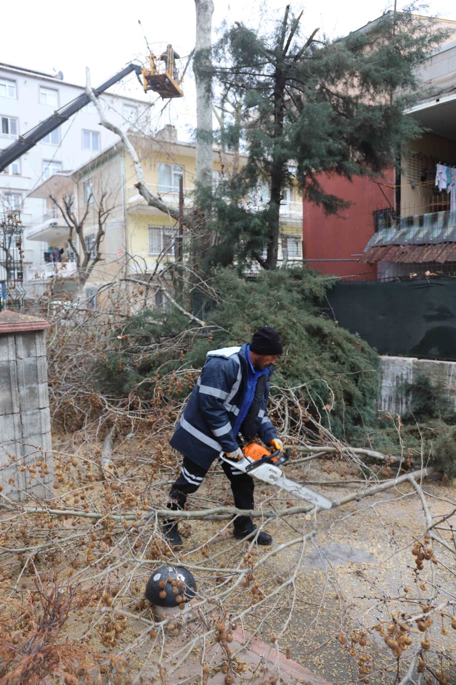 Kartal’da Bahara Hazırlık İçin Binlerce Ağaç Budandı