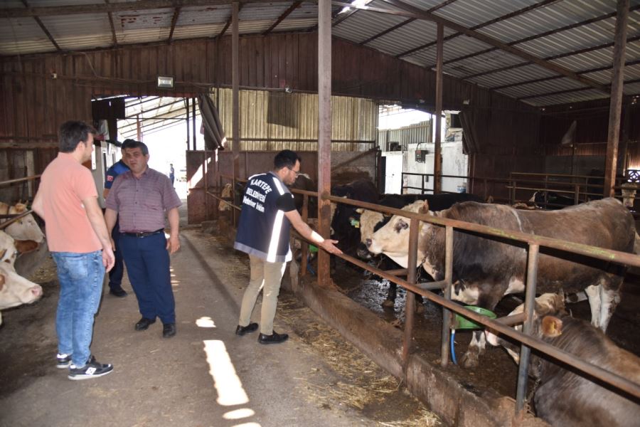 KARTEPE’DE KURBAN SATIŞINA SIKI DENETİM