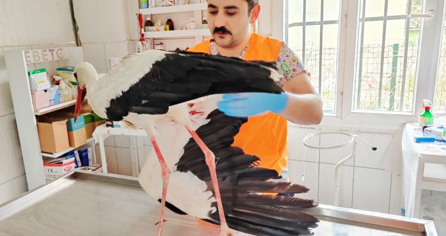 KEÇİÖREN BELEDİYESİ BİNLERCE AFETZEDE CANLIYI TEDAVİ ETTİ