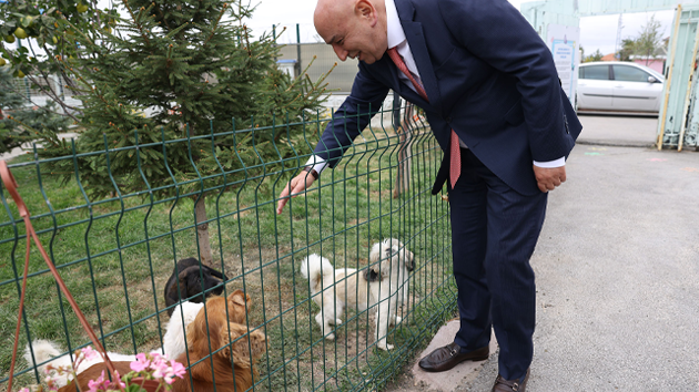 KEÇİÖREN BELEDİYESİ SOKAK HAYVANLARINA CAN OLUYOR