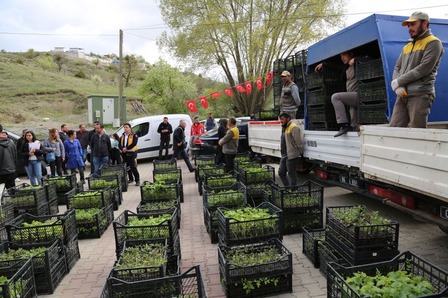 KEÇİÖREN BELEDİYESİNDEN ÇİFTÇİLERE ÜCRETSİZ FİDE DESTEĞİ