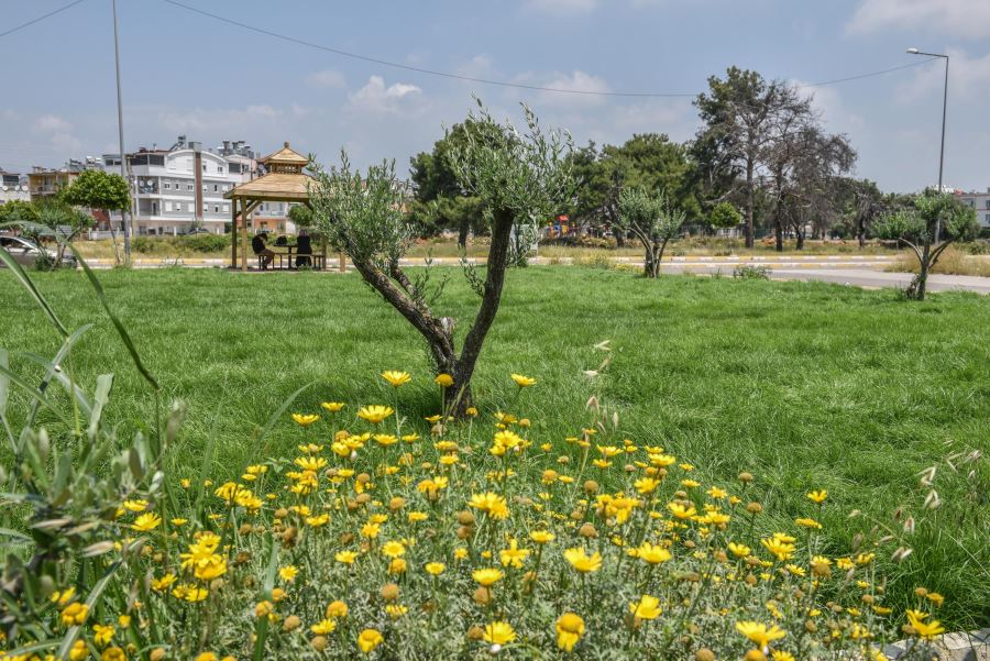 Kepez’den caddelere butik park