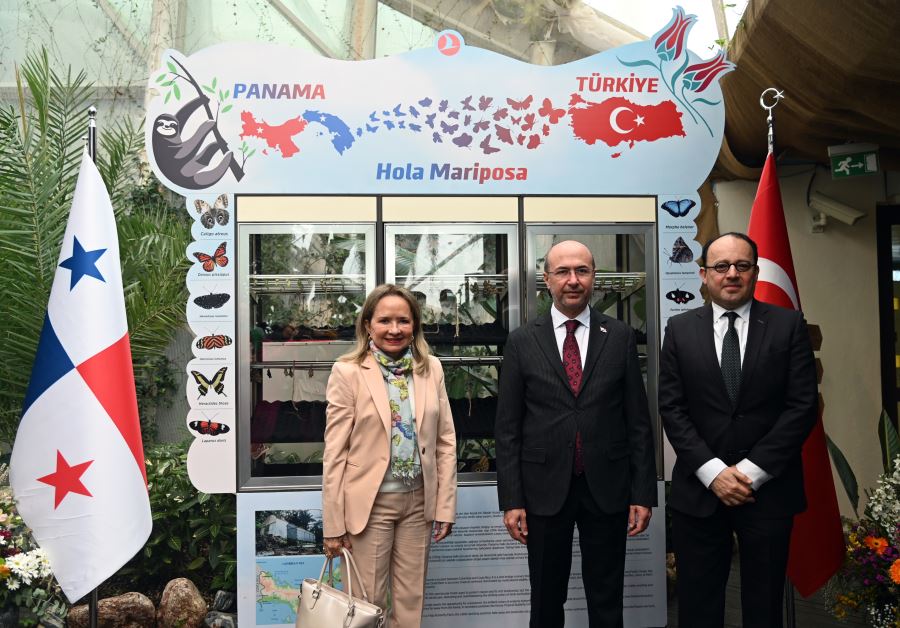 KONYA TROPİKAL KELEBEK BAHÇESİ’NDE PANAMA’DAN GELEN KELEBEKLER İLK UÇUŞLARINI YAPTI