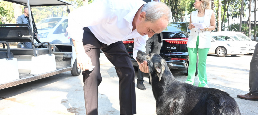 ‘Köpek yakıldı’ iddialarına Başkan Kocagöz son noktayı koydu:  İddialar asılsız, görüntüler yanıltıcı - TÜRKİYE - İnternetin Ajansı