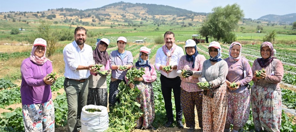 Kornişon Salatası binlerce aileye ekmek kapısı oldu  - GÜNDEM - İnternetin Ajansı