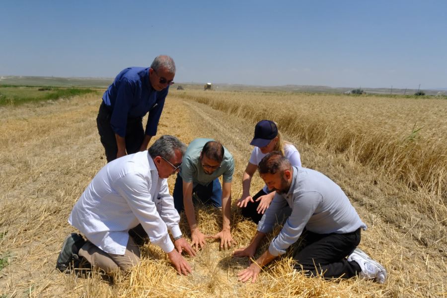 KÜÇÜK ÇİFTÇİYE KAZANDIRAN DESTEK